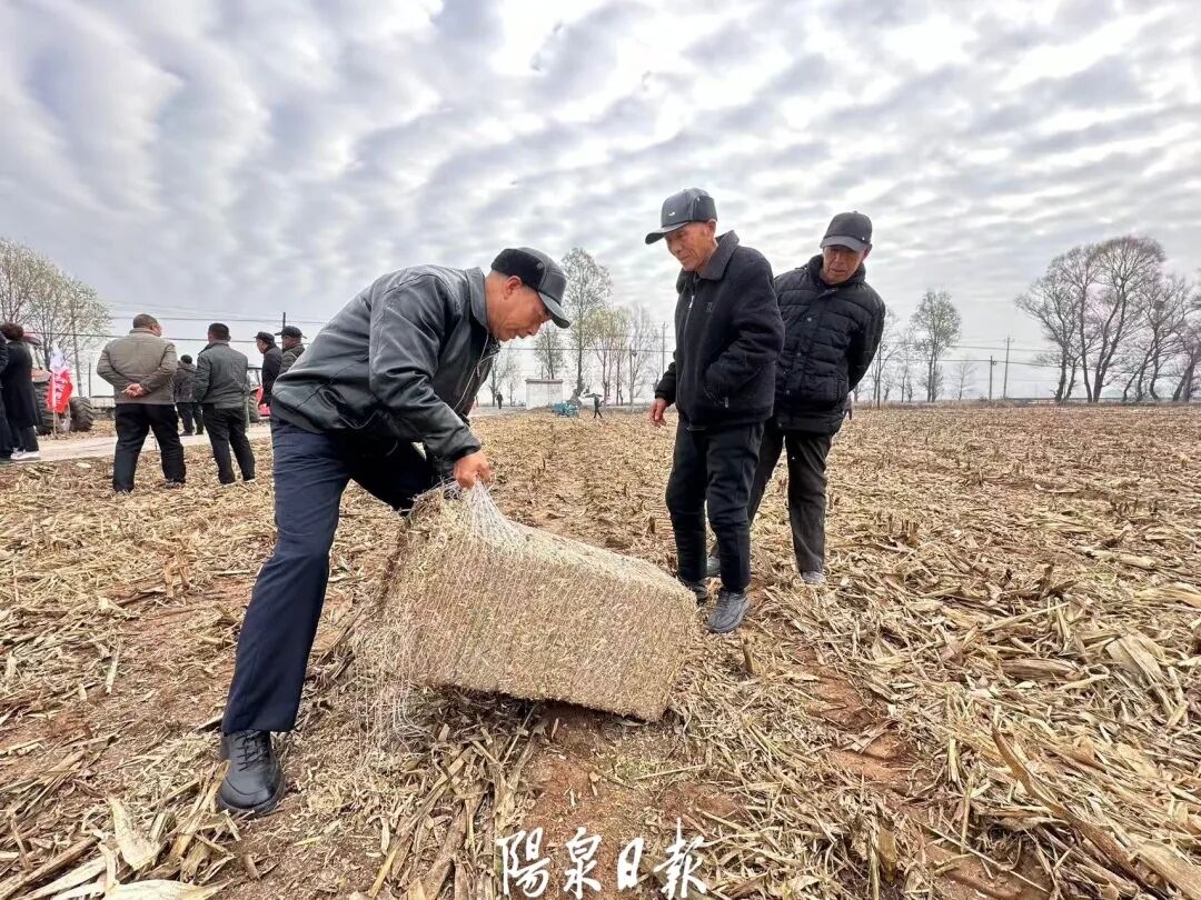 阳泉市秸秆综合利用_玉米秸秆利用_秸秆还田技术规程