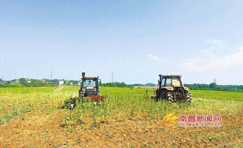 农作物秆发酵_江西芝麻秆加工_南昌秸秆综合利用