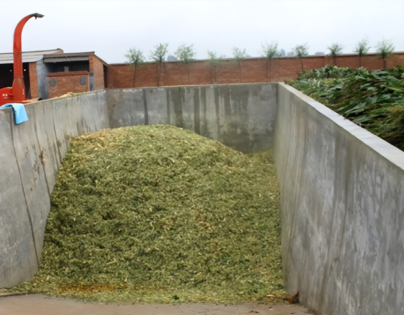 99多功能饲料发酵剂_发酵玉米秆喂猪_农作物秆发酵