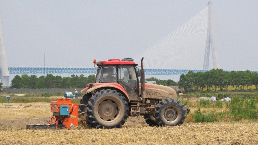 夏收秸秆处理 张家港 秸秆综合利用_农作物秆发酵