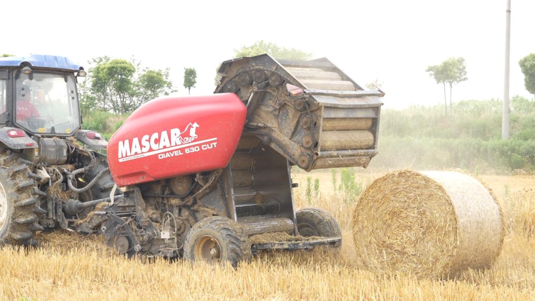 农作物秆发酵_夏收秸秆处理 张家港 秸秆综合利用