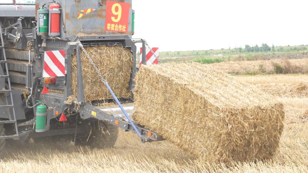 夏收秸秆处理 张家港 秸秆综合利用_农作物秆发酵