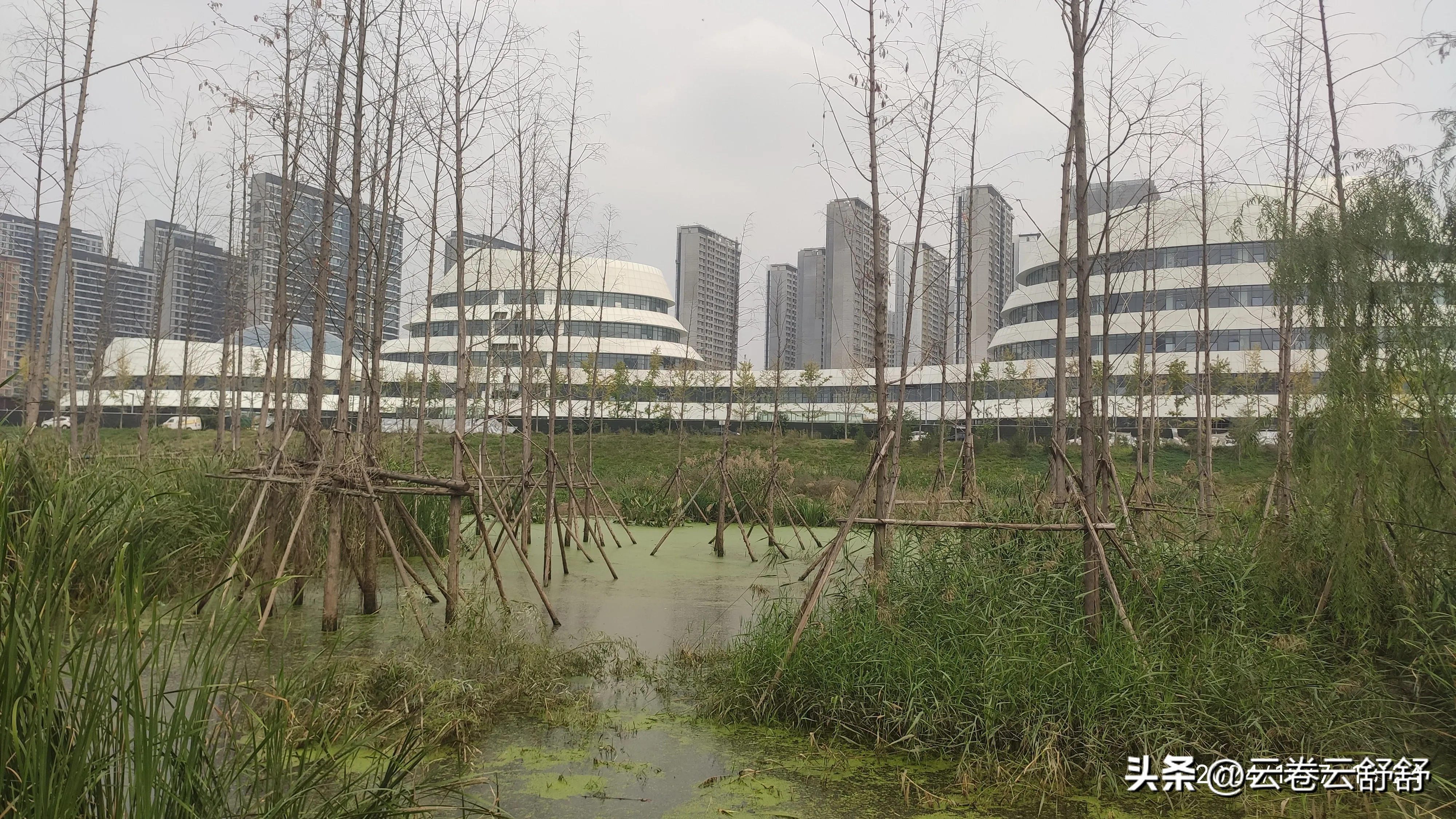 西安皂河_皂河源头长安水寨_皂河生态公园规划图