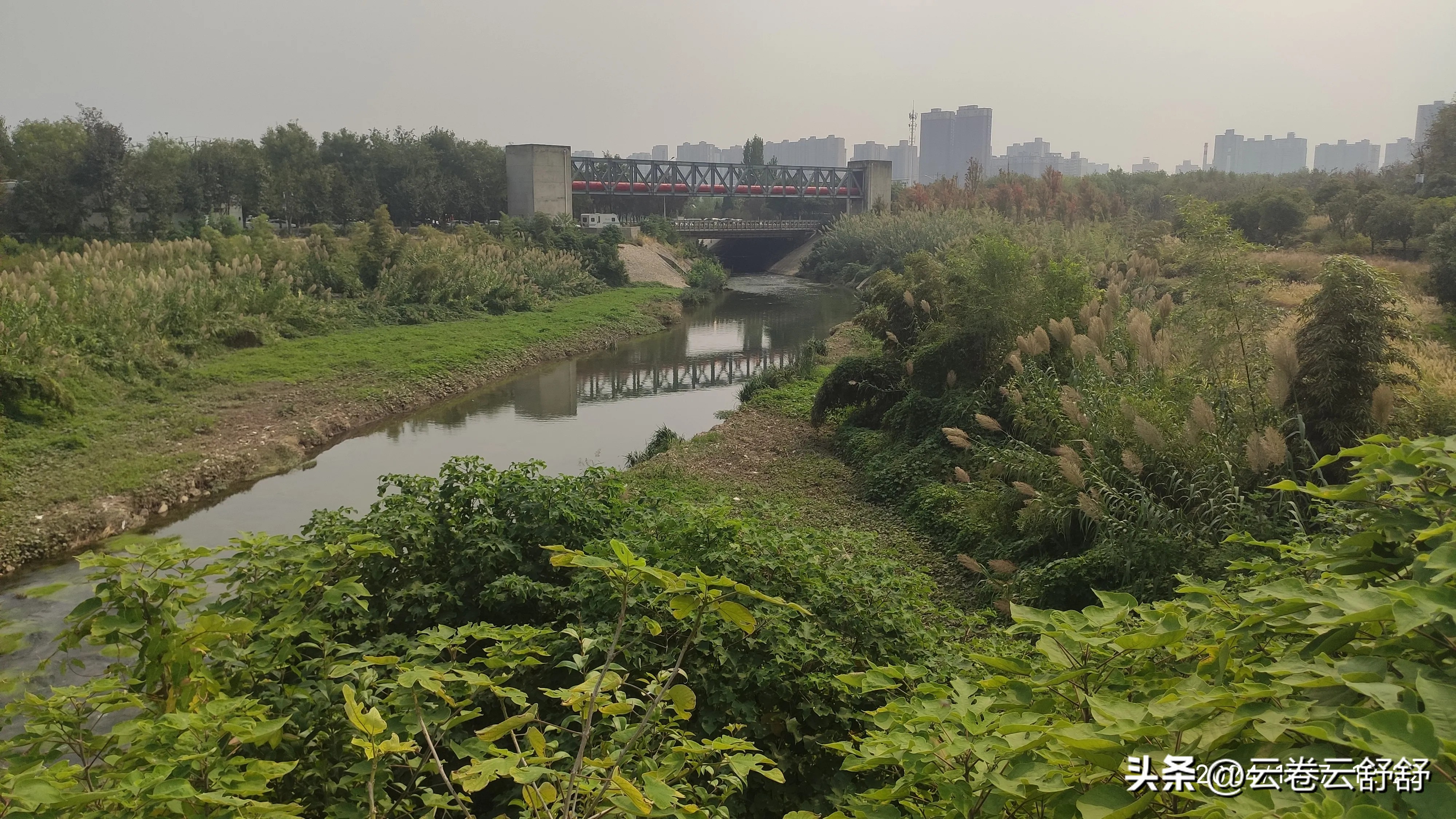 皂河源头长安水寨_西安皂河_皂河生态公园规划图