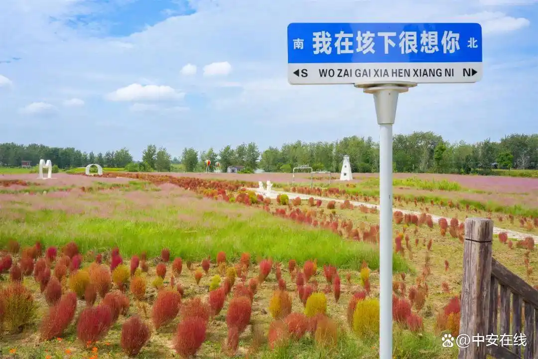 安徽固镇县在哪个市_固镇文旅发展_固镇旅游