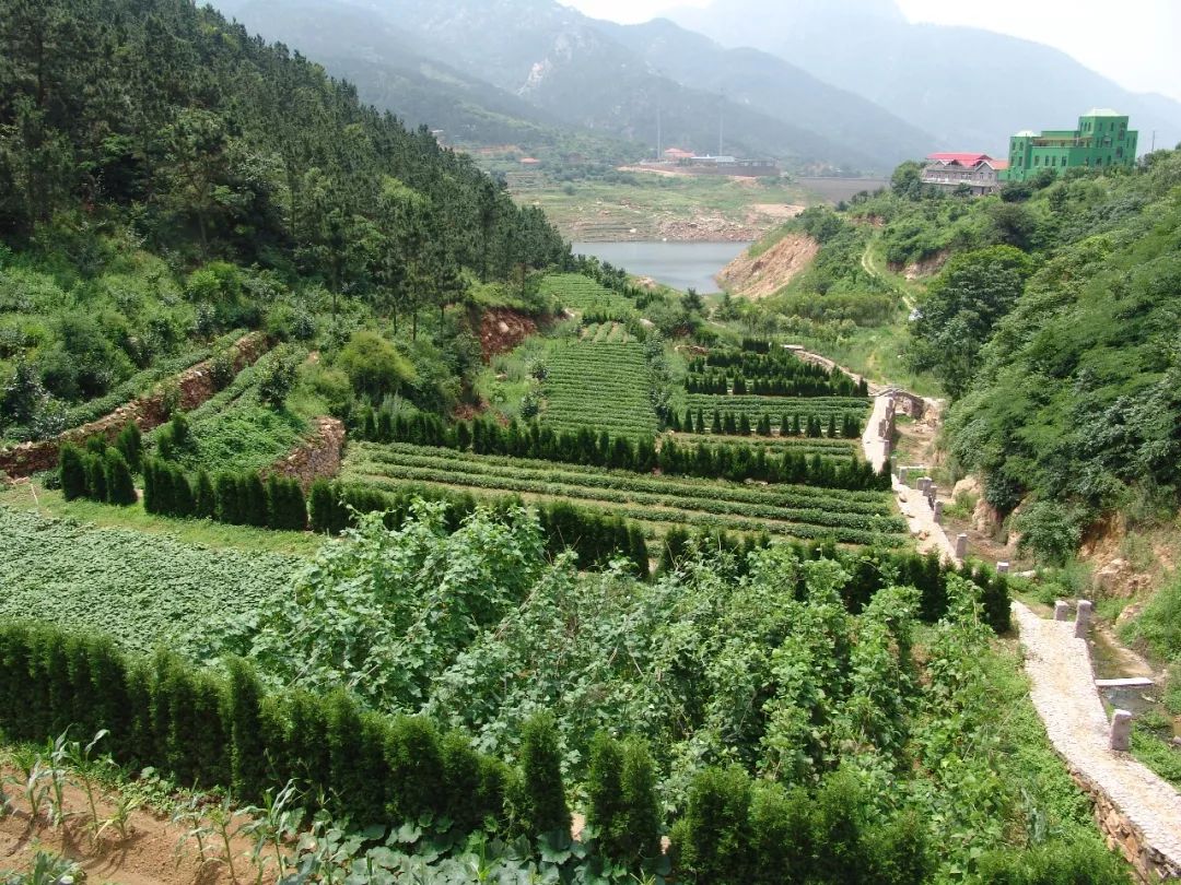 青岛崂山乡村旅游_青岛西麓生态农业公园规划_青岛城阳特色采摘旅游