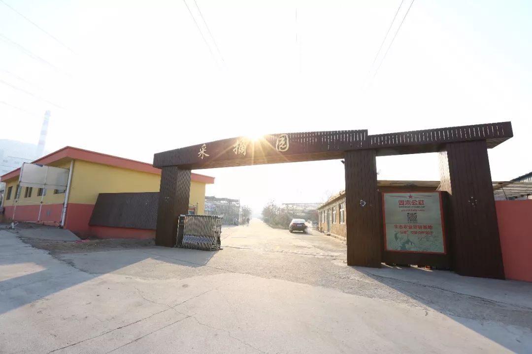 青岛西麓生态农业公园规划_青岛城阳特色采摘旅游_青岛崂山乡村旅游