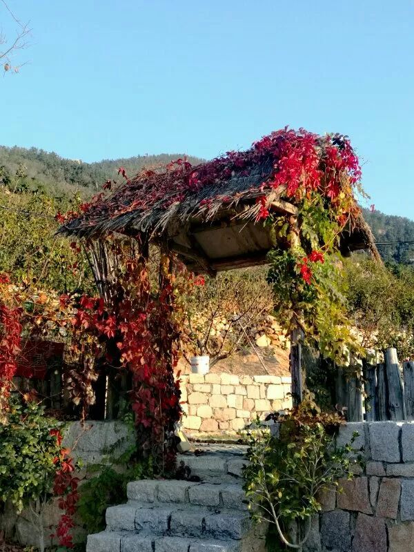 青岛崂山乡村旅游_青岛城阳特色采摘旅游_青岛西麓生态农业公园规划
