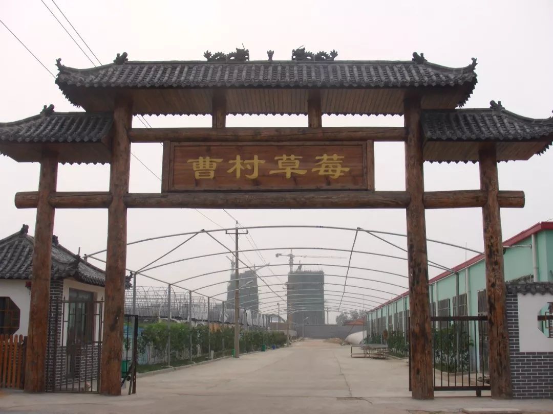 青岛西麓生态农业公园规划_青岛崂山乡村旅游_青岛城阳特色采摘旅游