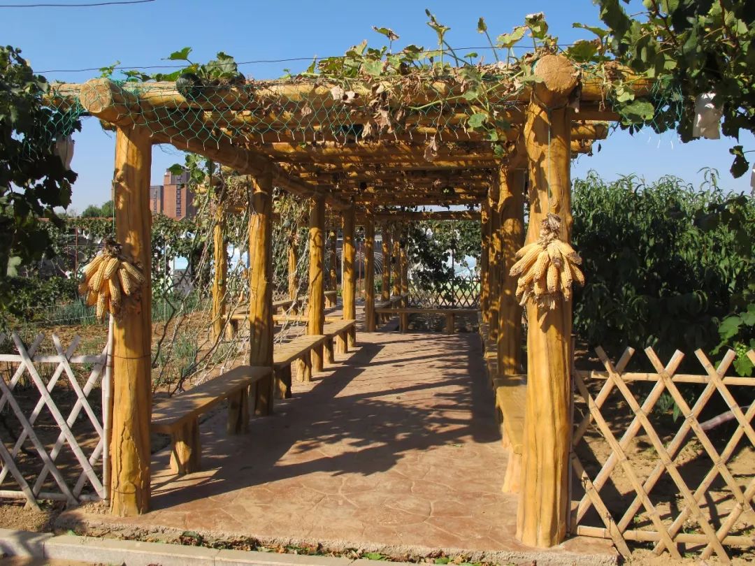 青岛崂山乡村旅游_青岛城阳特色采摘旅游_青岛西麓生态农业公园规划