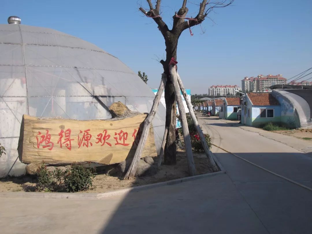 青岛城阳特色采摘旅游_青岛崂山乡村旅游_青岛西麓生态农业公园规划