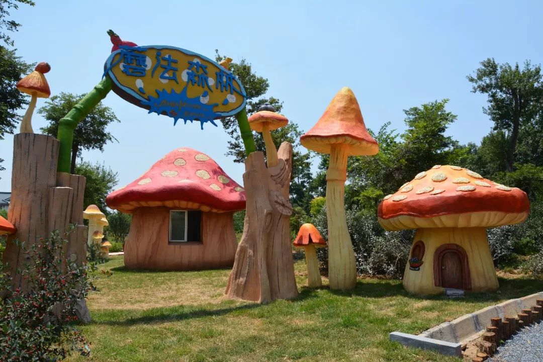 青岛崂山乡村旅游_青岛城阳特色采摘旅游_青岛西麓生态农业公园规划