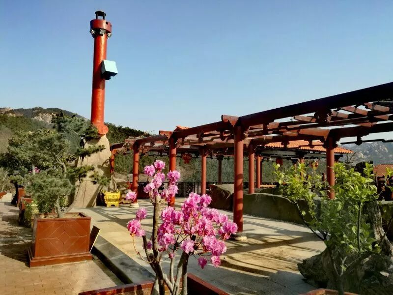 青岛城阳特色采摘旅游_青岛西麓生态农业公园规划_青岛崂山乡村旅游