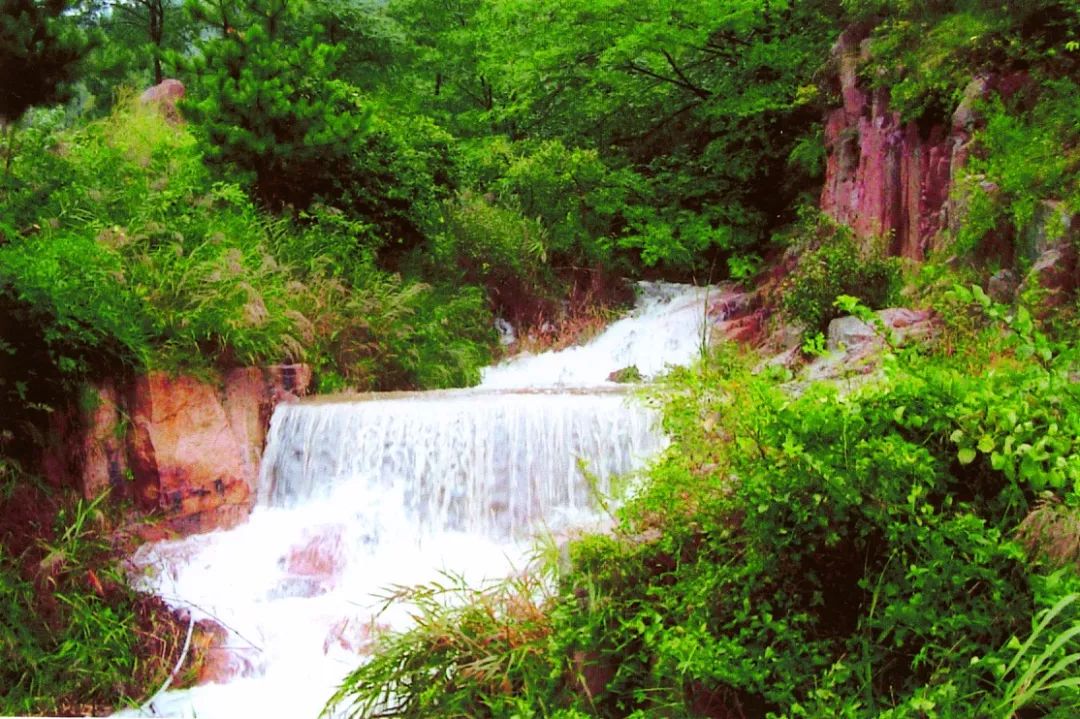 青岛城阳特色采摘旅游_青岛西麓生态农业公园规划_青岛崂山乡村旅游