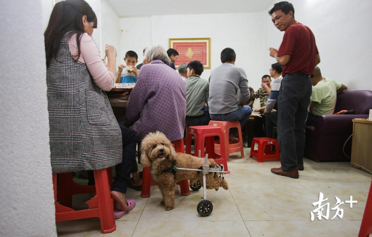 墙体广告制作_刷墙_刷墙手艺