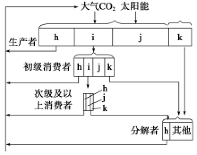 生态系统物质循环能量流动_生态系统的能量流动示意图_食物链能量传递效率