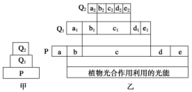 生态系统物质循环能量流动_食物链能量传递效率_生态系统的能量流动示意图