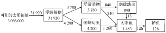 生态系统的能量流动示意图_生态系统物质循环能量流动_食物链能量传递效率
