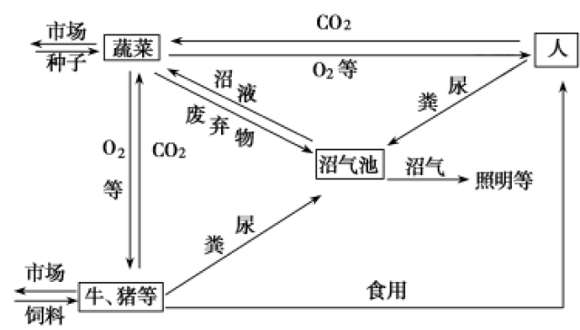 生态系统物质循环能量流动_生态系统的能量流动示意图_食物链能量传递效率
