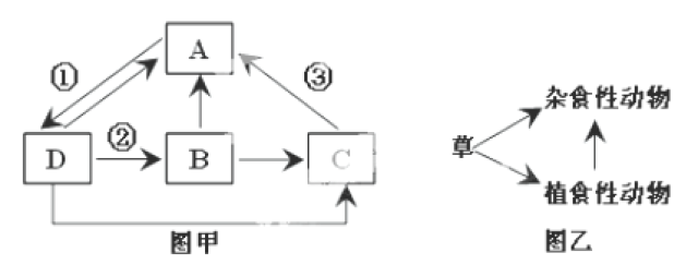 生态系统物质循环能量流动_生态系统的能量流动示意图_食物链能量传递效率