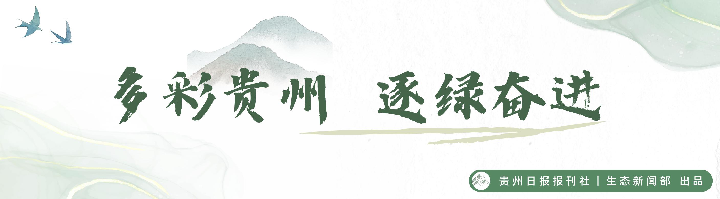 泛珠三角区域环境保护合作联席会议_云南生态环境保护厅_云南省生态环境厅承办