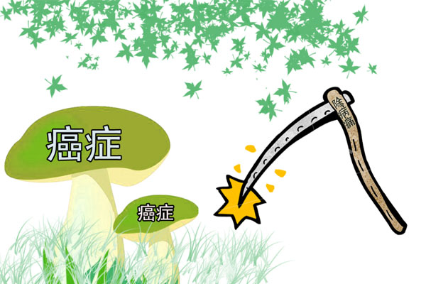 红薯叶长寿菜谣言_考箱烤红薯要多长时间_红薯抗癌谣言