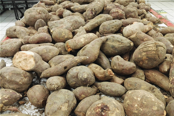 考箱烤红薯要多长时间_红薯叶长寿菜谣言_红薯抗癌谣言