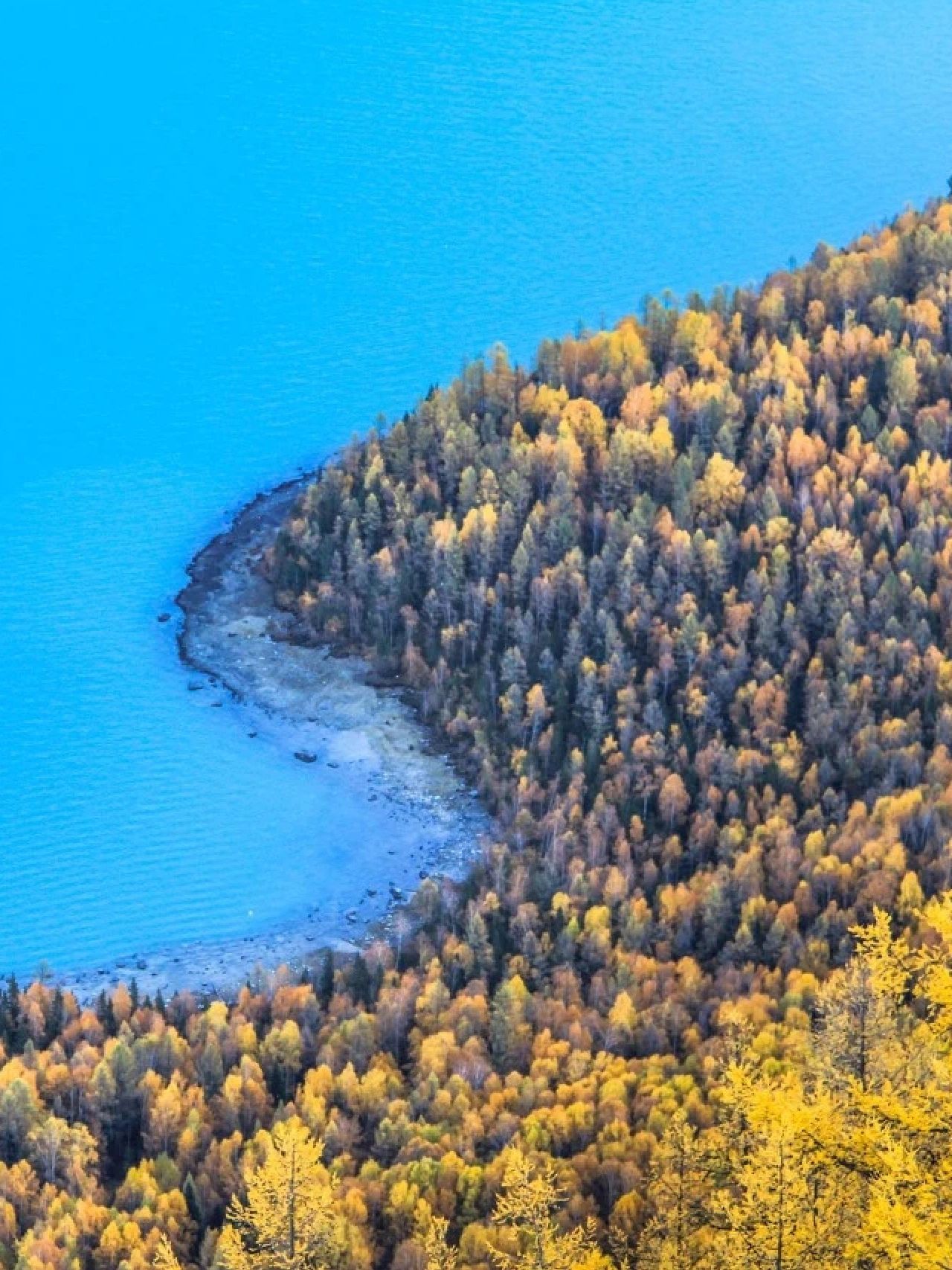 喀纳斯秋季最佳观赏期_新疆喀纳斯9月旅游攻略_喀纳斯湖生态旅游建议