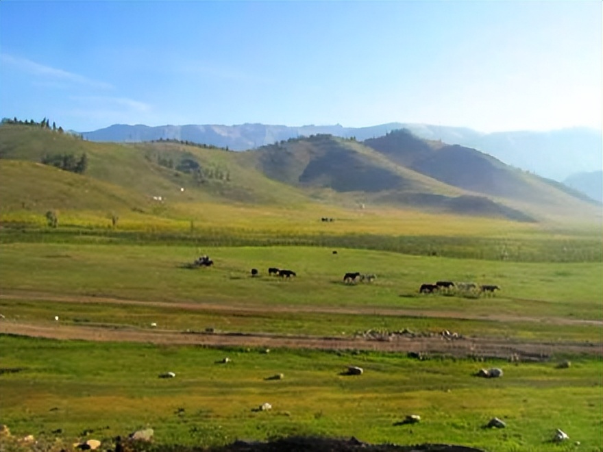 喀纳斯最佳旅行时间_喀纳斯湖生态旅游建议_喀纳斯旅游攻略