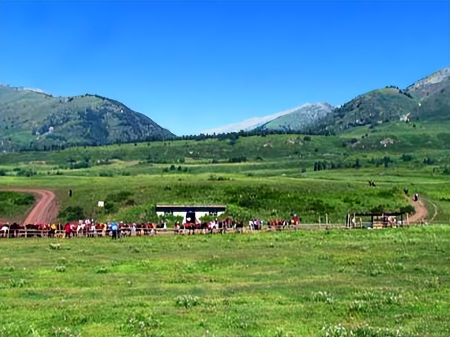 喀纳斯最佳旅行时间_喀纳斯湖生态旅游建议_喀纳斯旅游攻略