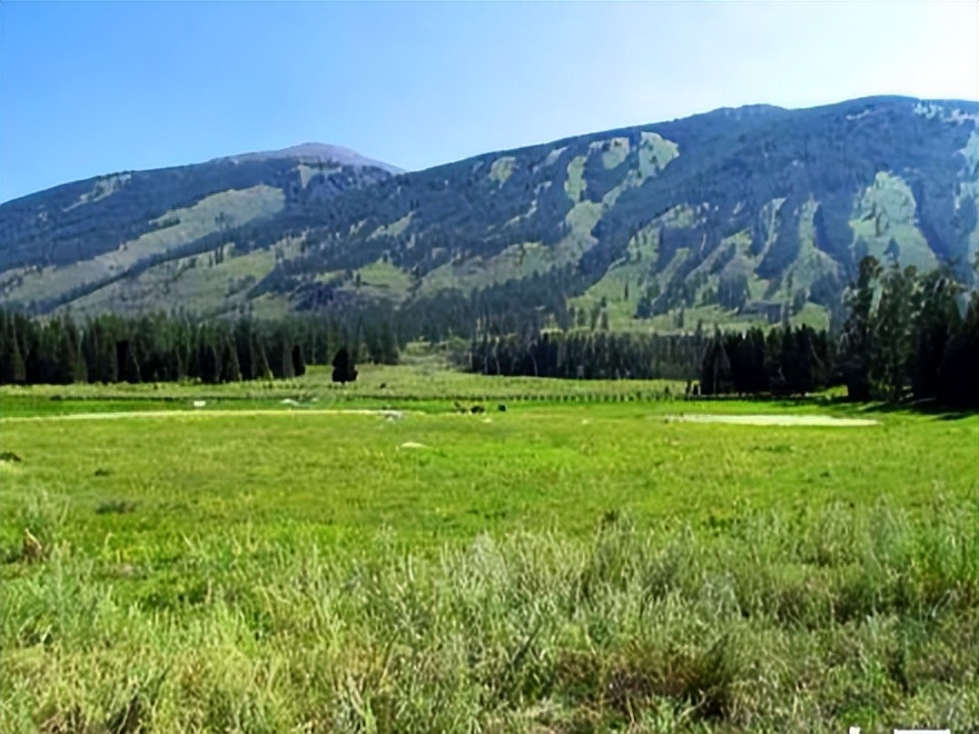 喀纳斯旅游攻略_喀纳斯最佳旅行时间_喀纳斯湖生态旅游建议