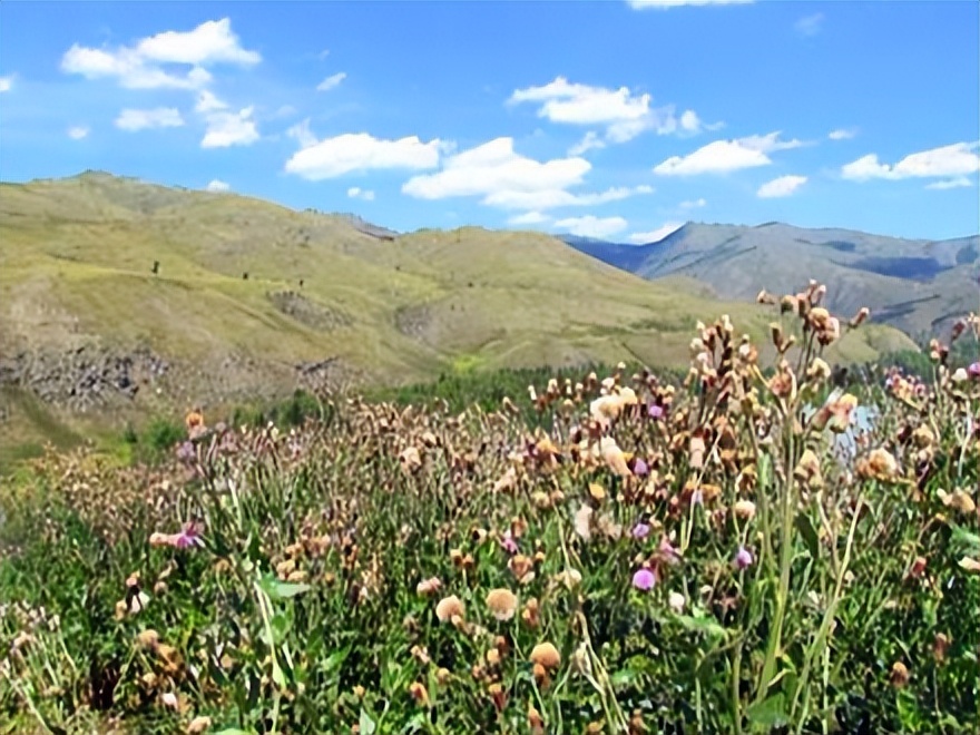 喀纳斯最佳旅行时间_喀纳斯湖生态旅游建议_喀纳斯旅游攻略