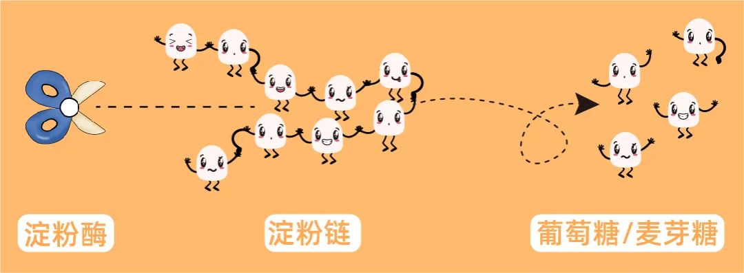 街边烤红薯健康吗_考箱烤红薯要多长时间_烤红薯做法