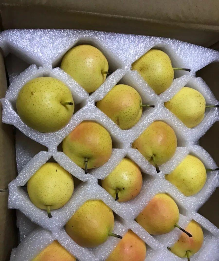 吃了带酒味的水果会被查酒驾吗_水果有酒精味_葡萄龙眼榴莲酒驾实验