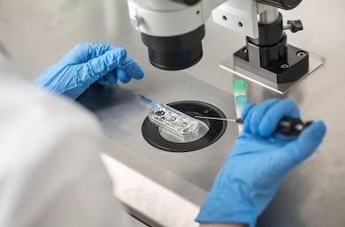 生物学分支学科_生物生态系统_生物学研究范畴