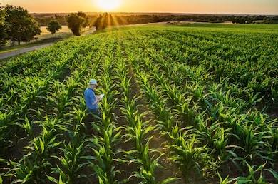 生物学研究范畴_生物学分支学科_生物生态系统