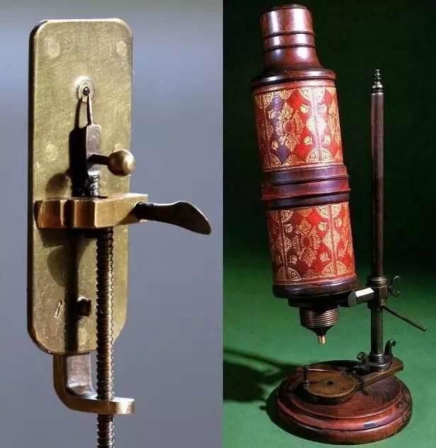 生物学分支学科_生物学研究范畴_生物生态系统