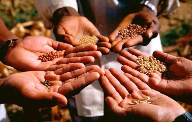 生物生态系统_生物学分支学科_生物学研究范畴