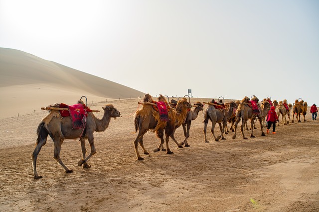 文化碰撞的历史影响_全球化 文化多样性_文明冲突与融合