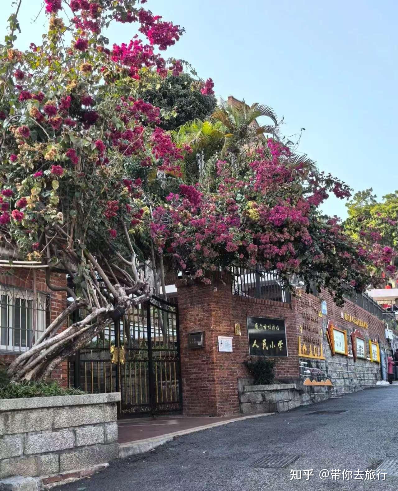 厦门白水洋二日游_厦门当地导游推荐_厦门3-5天行程攻略