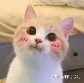 细软油性发质外养方法_头发软化能持续多久_氨基酸洗发水推荐