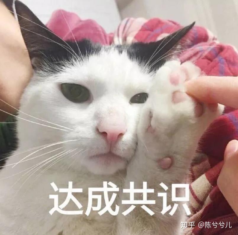 氨基酸洗发水推荐_头发软化能持续多久_细软油性发质外养方法