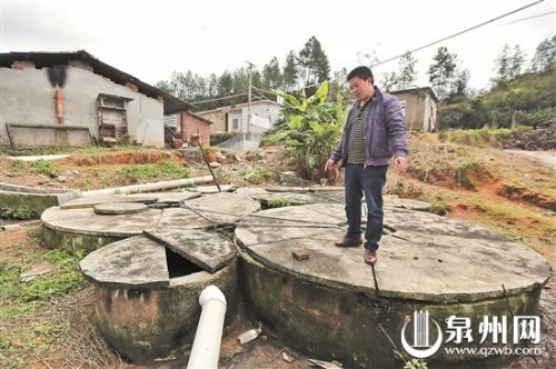 生态养猪实用技术大全_猪粪处理有机肥_生态养猪技术