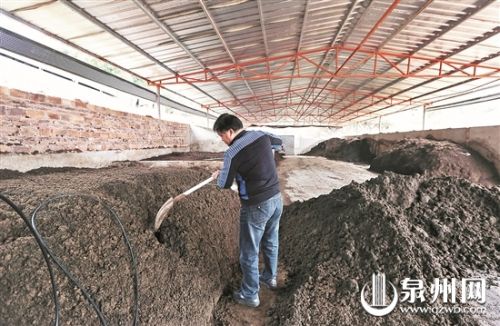 生态养猪技术_猪粪处理有机肥_生态养猪实用技术大全