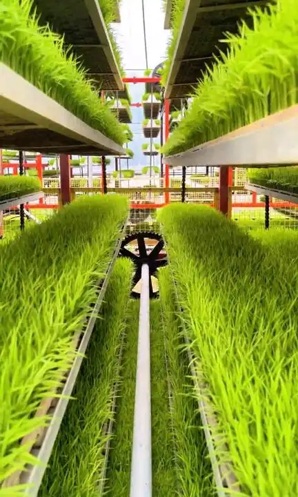 智慧春耕_农业新质生产力_最近的农业科技新闻联播