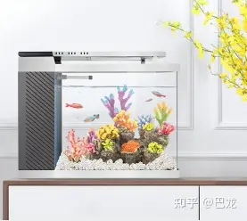 鱼缸生态过滤_微型鱼缸 小型鱼缸 创意鱼缸