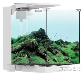 微型鱼缸 小型鱼缸 创意鱼缸_鱼缸生态过滤