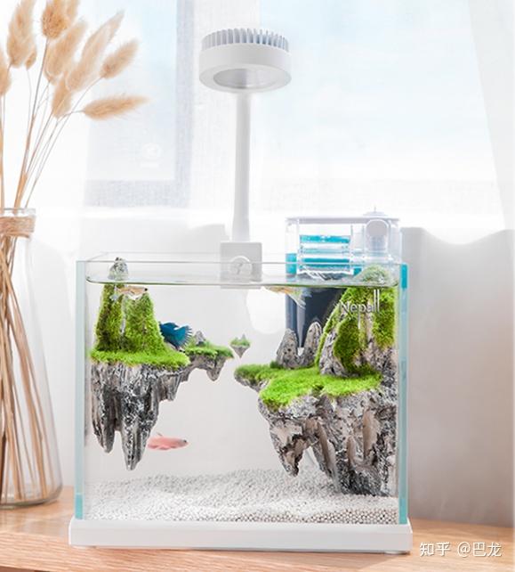 鱼缸生态过滤_微型鱼缸 小型鱼缸 创意鱼缸