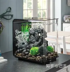 鱼缸生态过滤_微型鱼缸 小型鱼缸 创意鱼缸