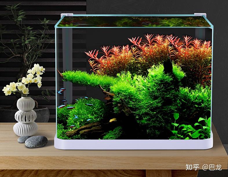 鱼缸生态过滤_微型鱼缸 小型鱼缸 创意鱼缸